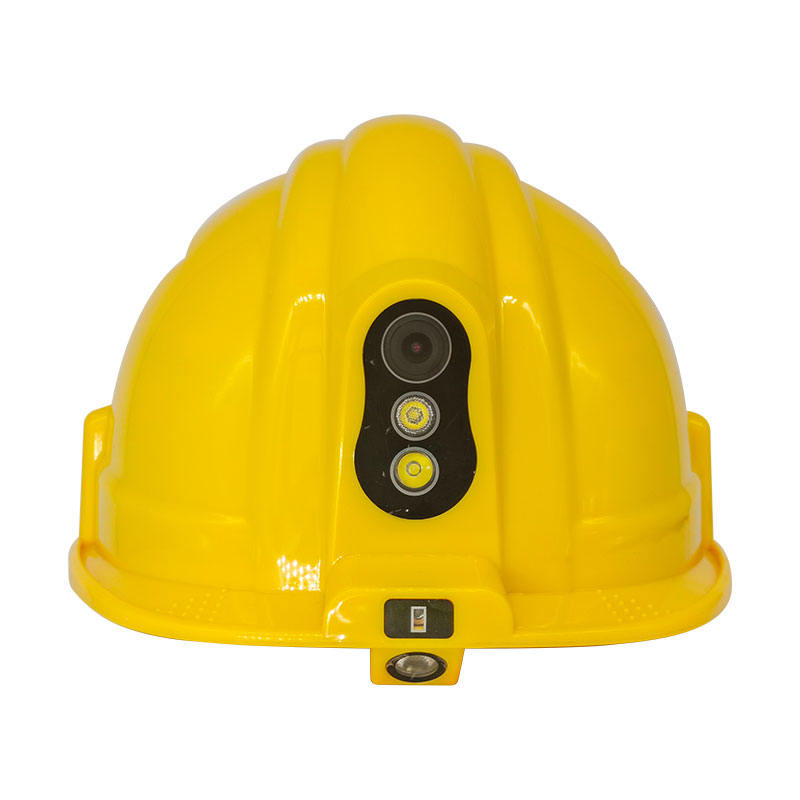 365速发国际(中国)官方网站